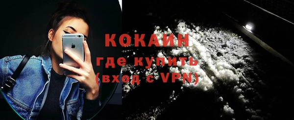 шишки Каменка