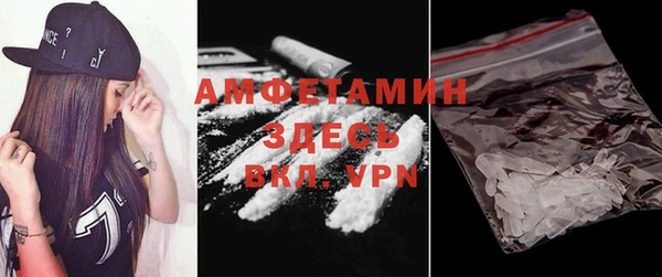 шишки Каменка