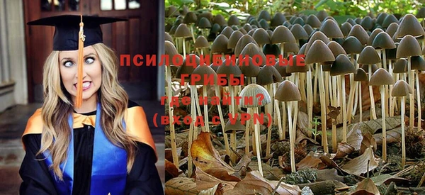таблы Каменногорск