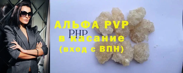 шишки Каменка