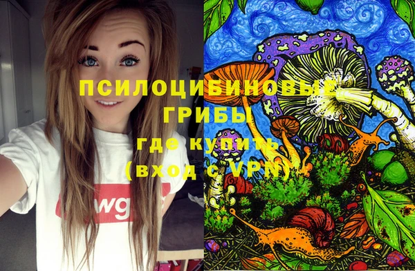 амф Каменск-Шахтинский