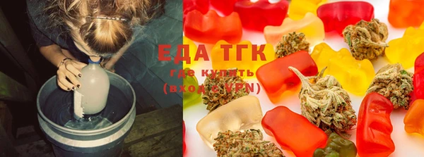 шишки Каменка